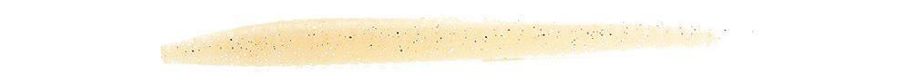 Keitech Salty Core Stick