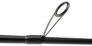 Airrus X-Entity Spinning