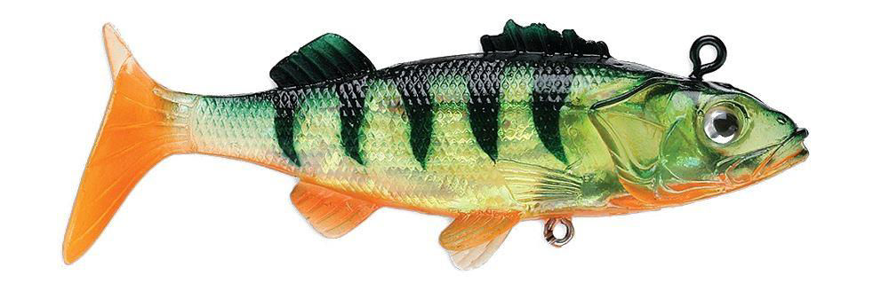 Storm Wildeye Live Perch