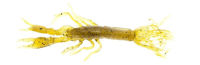 Castaic Finesse Mudbug Craw