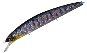 O.s.p. Rudra Saltwater