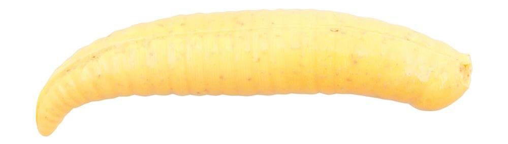 Berkley Gulp Pinched Crawler 