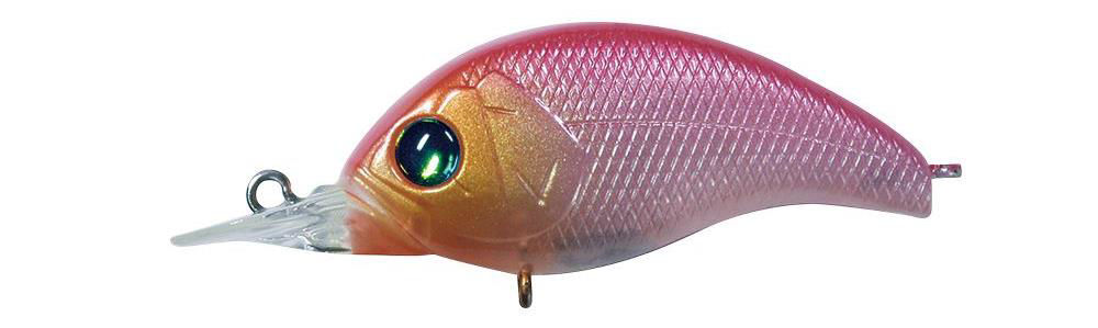 Deps Korrigan SR