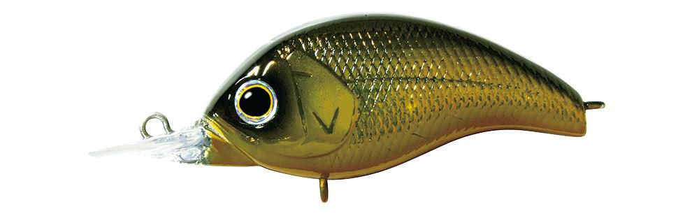 Deps Korrigan SR