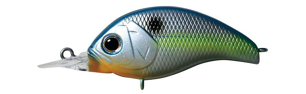Deps Korrigan SR