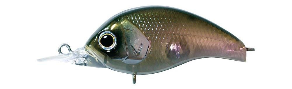Deps Korrigan SR