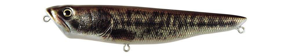 Deps Radspringer