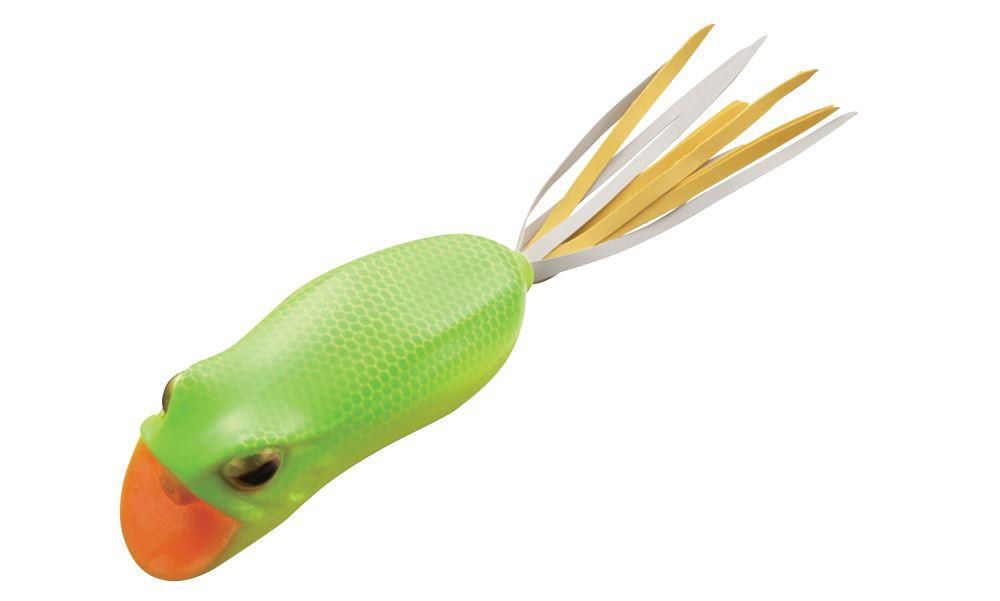 Evergreen Darter Frog