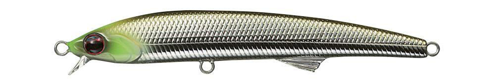 Evergreen Honesty seabass