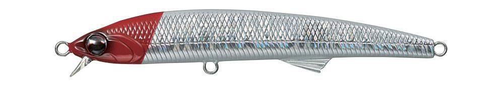Evergreen Honesty seabass