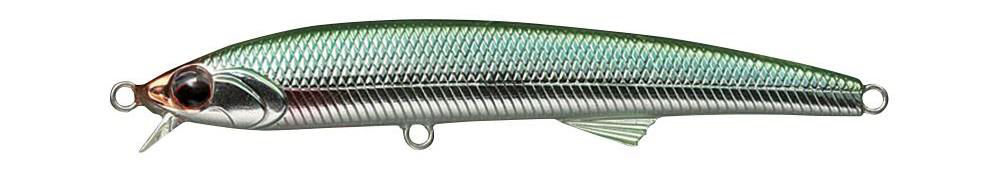 Evergreen Honesty seabass