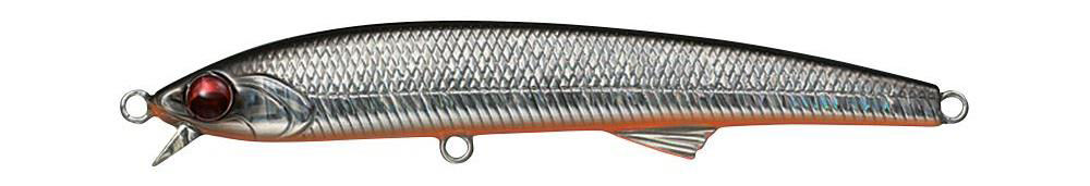 Evergreen Honesty seabass