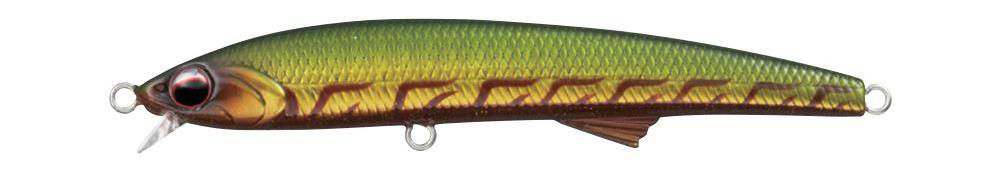 Evergreen Honesty seabass