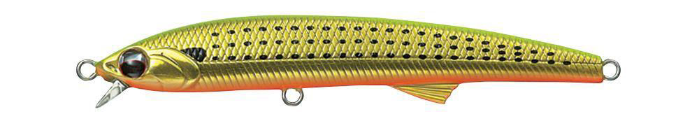 Evergreen Honesty seabass