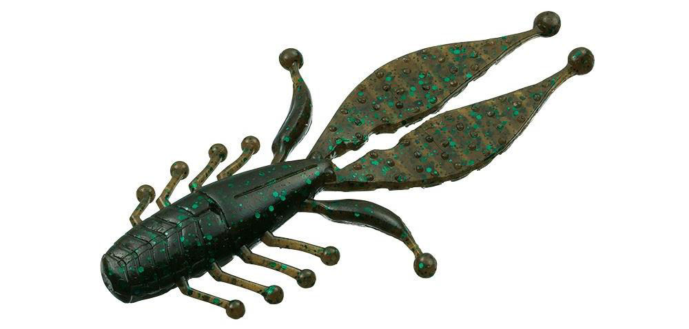 Evergreen Kicker Bug