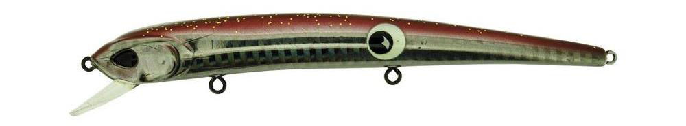 Molix Audace 130