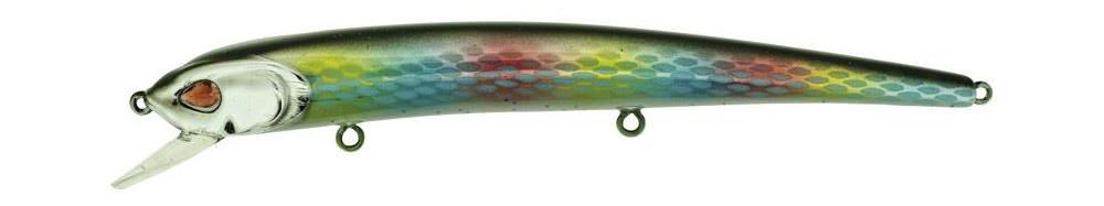 Molix Audace 130