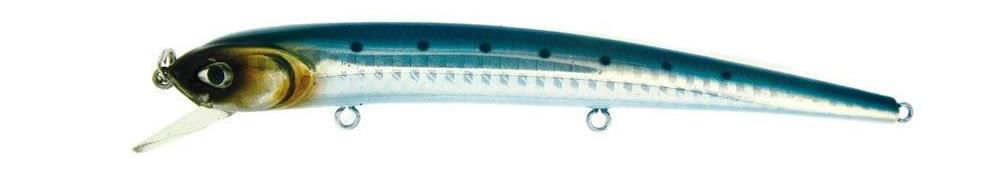 Molix Audace 130