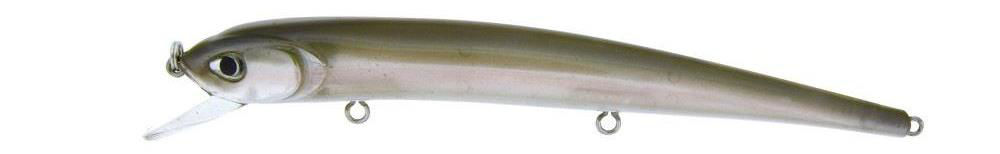 Molix Audace 130