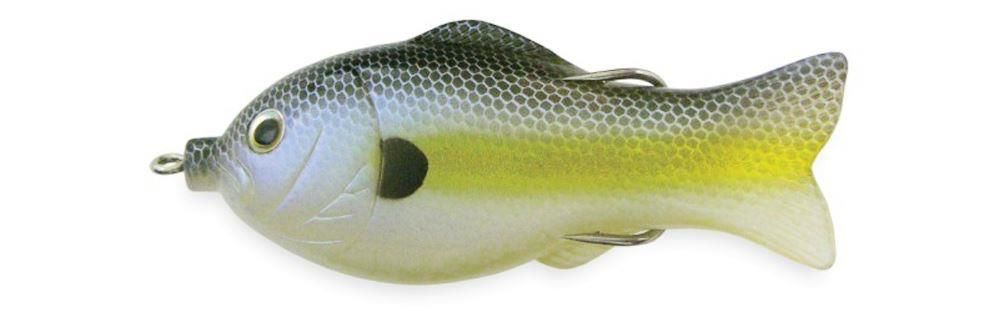 Culprit Topwater Shad 