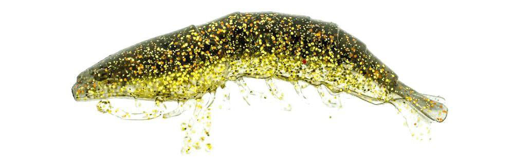 Molix Shrimp