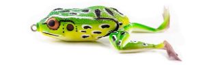 Molix Frog