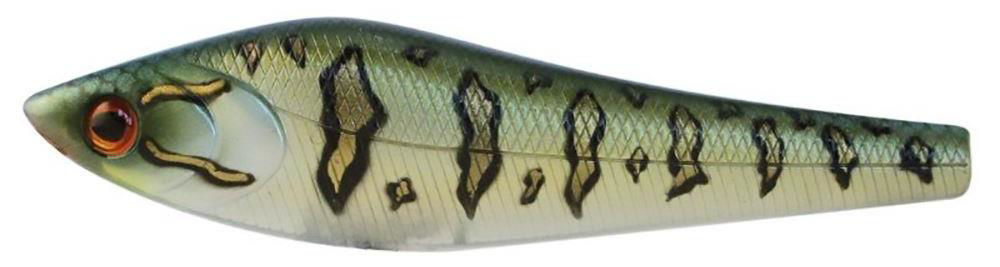 Molix Punitor