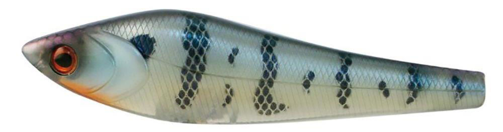 Molix Punitor