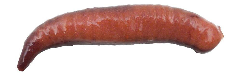 Berkley Gulp Pinched Crawler 