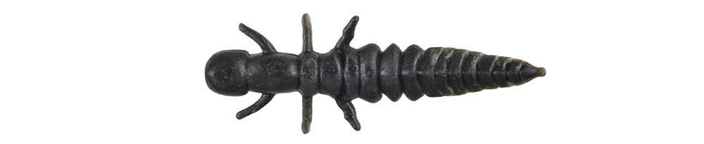 Berkley Hellgramite