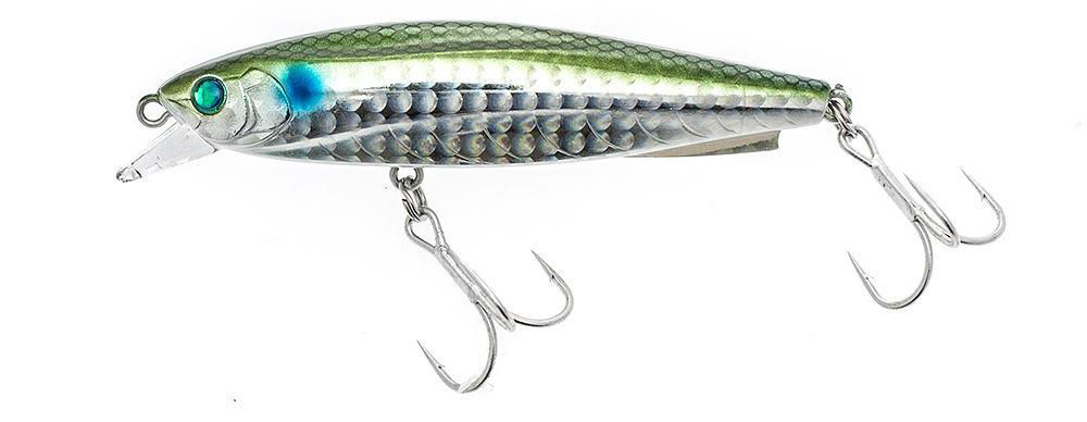Daiwa Morethan Gipsy