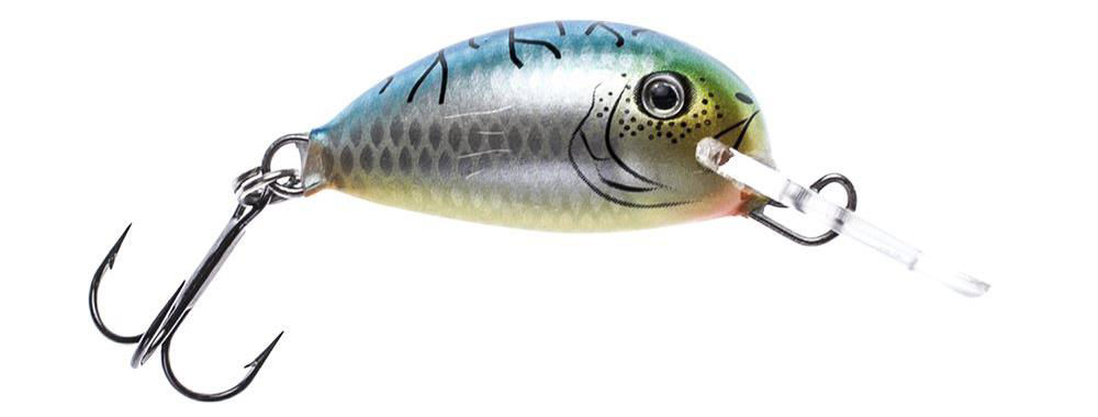 Hybrida H-1