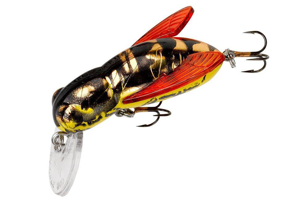 Rebel Bumble Bug