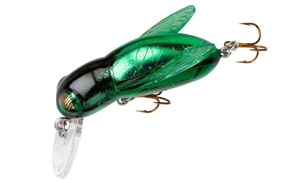 Rebel Bumble Bug
