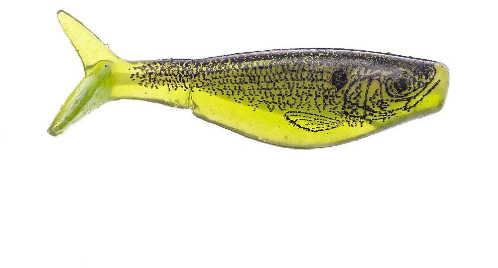 Renosky Shad 