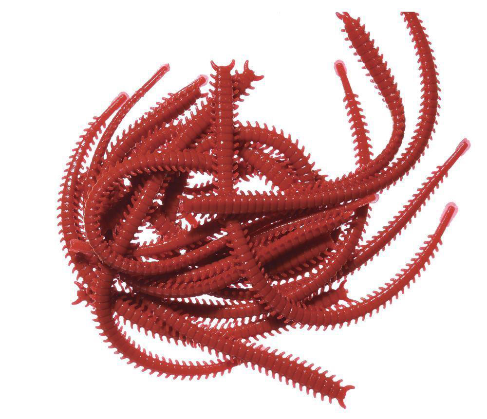 Marukyu Isome Ragworm