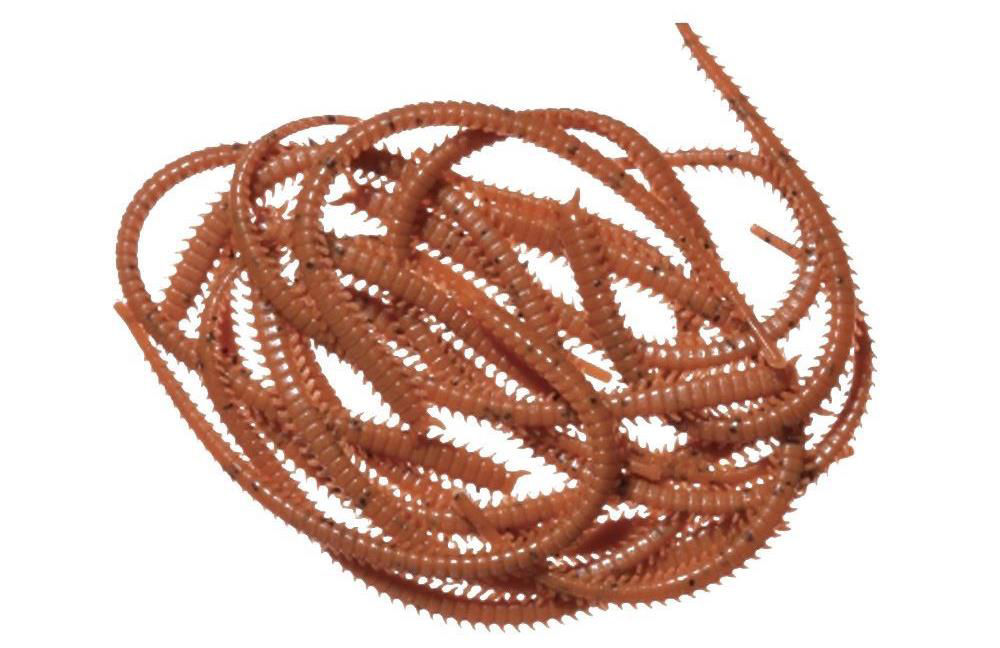 Marukyu Isome Ragworm