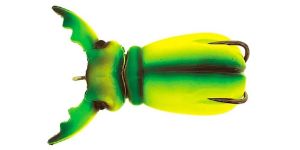 Molix Supernato Beetle