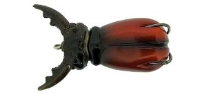 Molix Supernato Beetle