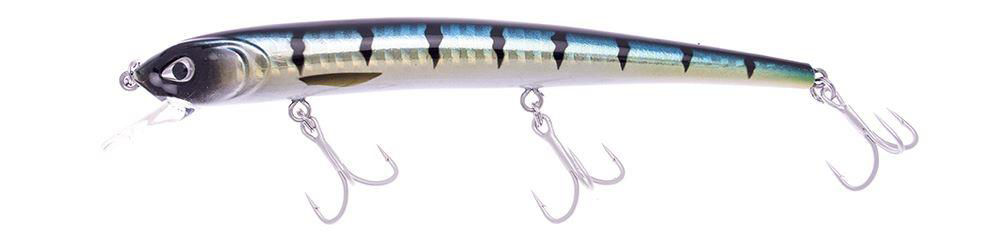 Molix Audace 130
