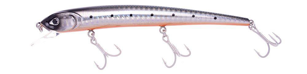Molix Audace 130