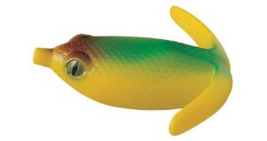 Deps Basirisky 
