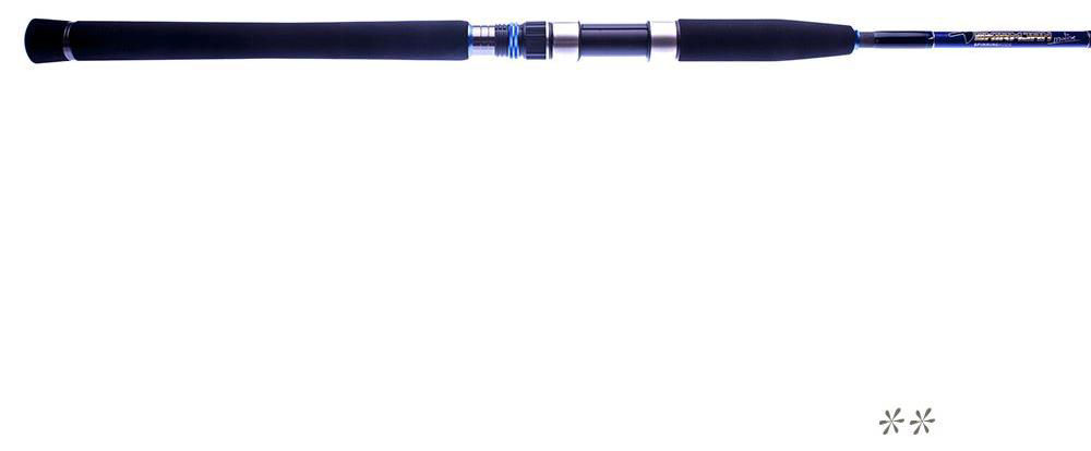 Molix Skirmjan SW Spinning Rods