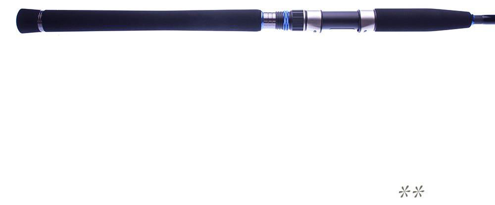 Molix Skirmjan SW Spinning Rods