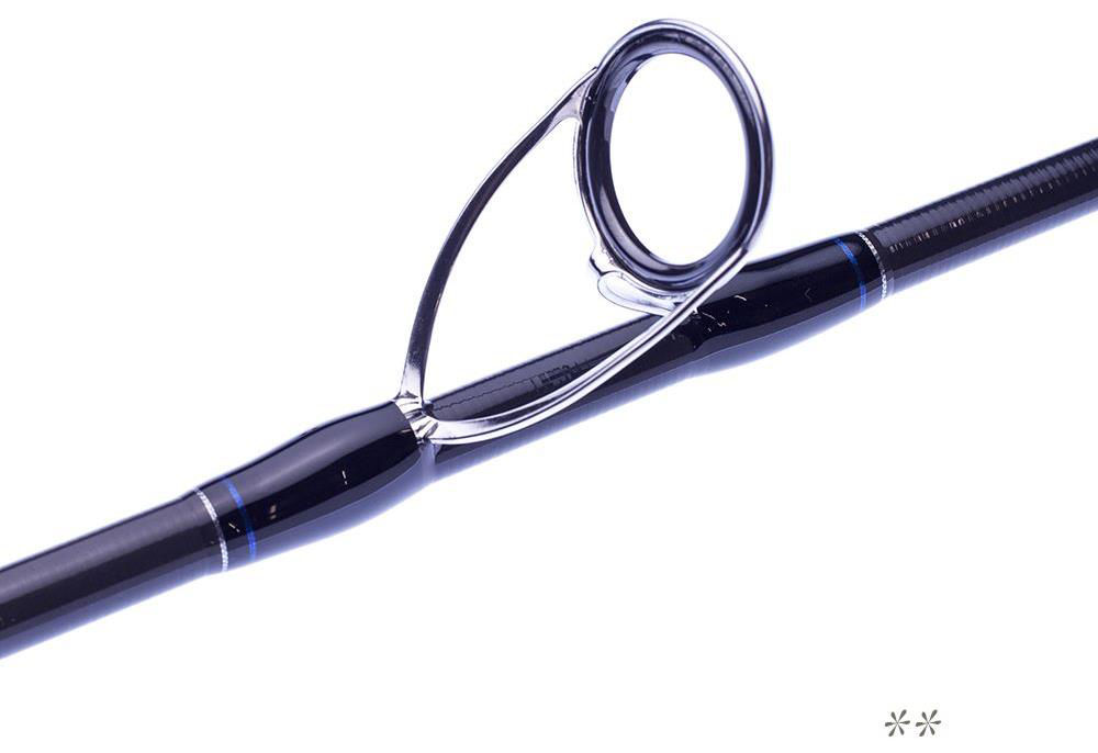 Molix Skirmjan SW Spinning Rods