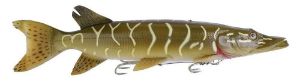 Savage Gear 3D Line-Thru Pike 