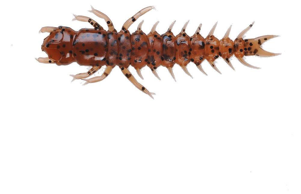 Uncle Buck's Hellgrammite Rigged Soft Bait