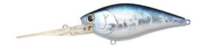Lucky Craft Flat CB D-20