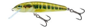 Salmo Minnow