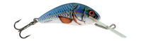 Salmo Hornet